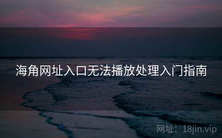 海角网址入口无法播放处理入门指南