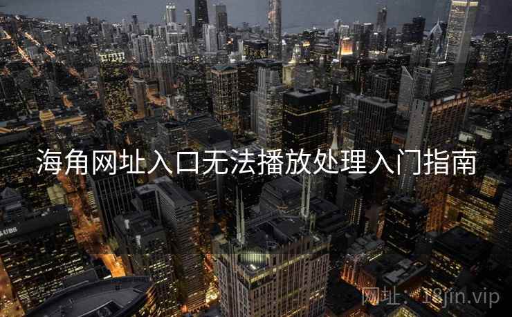 海角网址入口无法播放处理入门指南