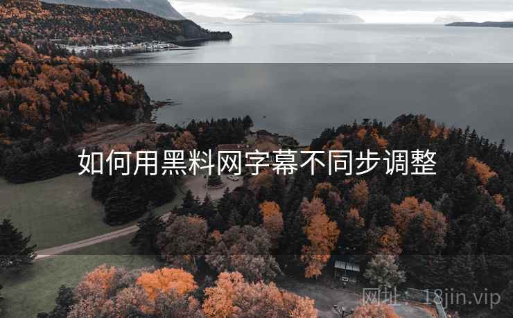 如何用黑料网字幕不同步调整