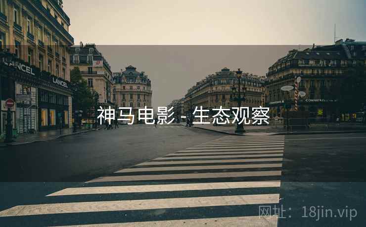 神马电影 - 生态观察