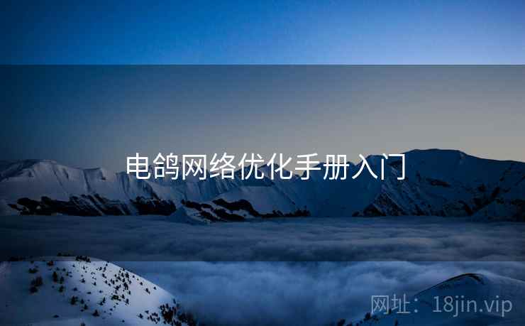 电鸽网络优化手册入门