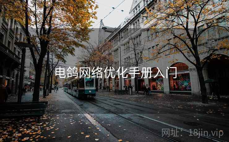 电鸽网络优化手册入门
