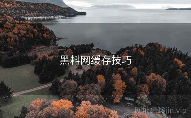 黑料网缓存技巧