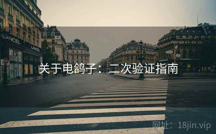 关于电鸽子：二次验证指南