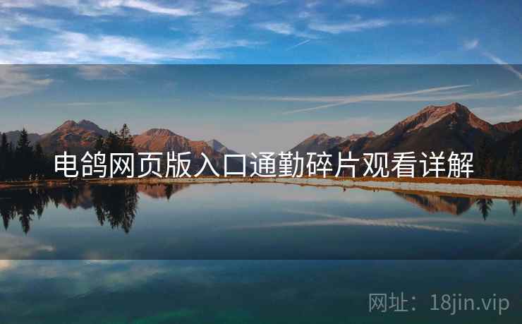 电鸽网页版入口通勤碎片观看详解