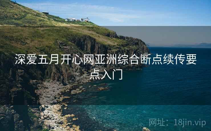 深爱五月开心网亚洲综合断点续传要点入门