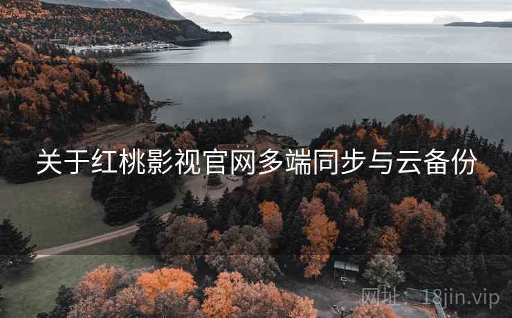 关于红桃影视官网多端同步与云备份