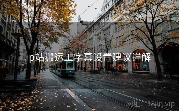 p站搬运工字幕设置建议详解