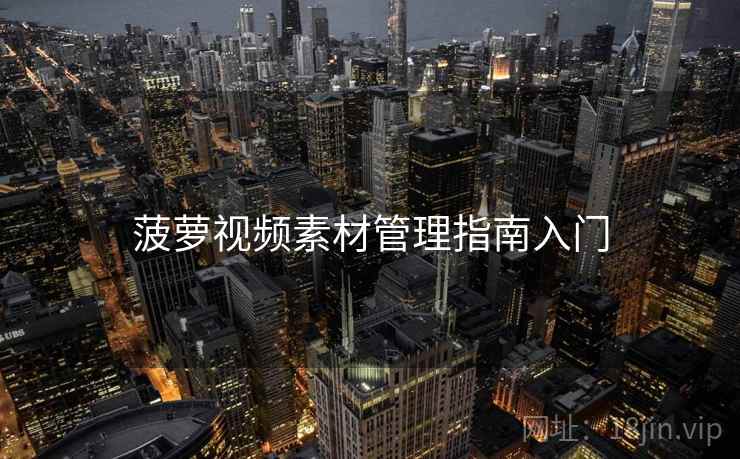 菠萝视频素材管理指南入门