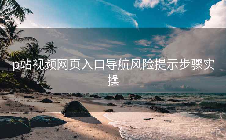 p站视频网页入口导航风险提示步骤实操