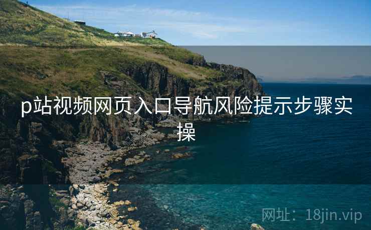 p站视频网页入口导航风险提示步骤实操