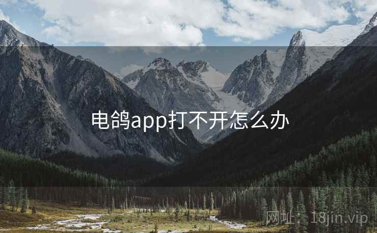 电鸽app打不开怎么办
