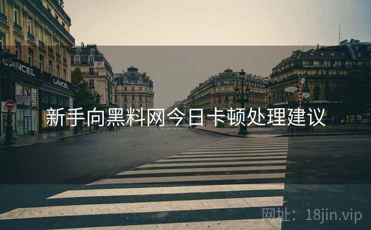 新手向黑料网今日卡顿处理建议