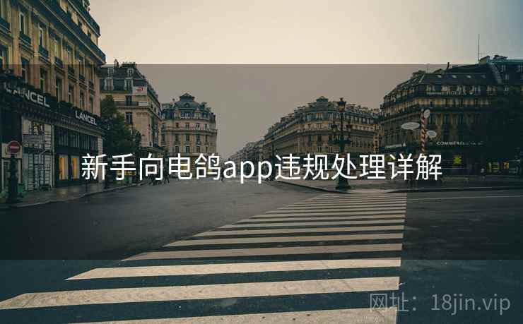 新手向电鸽app违规处理详解