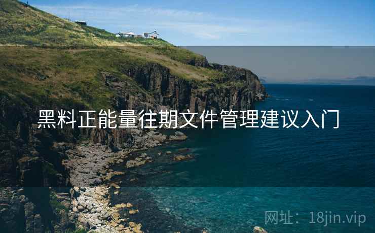 黑料正能量往期文件管理建议入门
