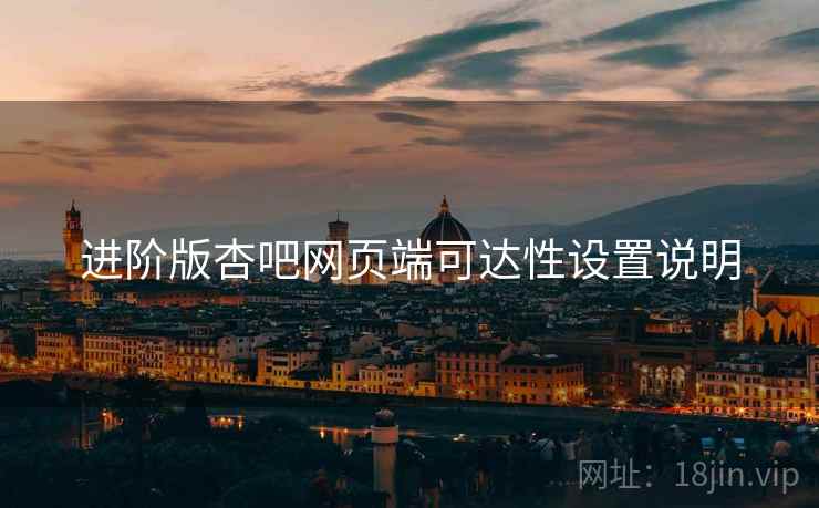 进阶版杏吧网页端可达性设置说明
