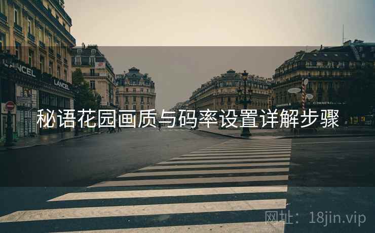 秘语花园画质与码率设置详解步骤