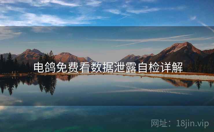 电鸽免费看数据泄露自检详解