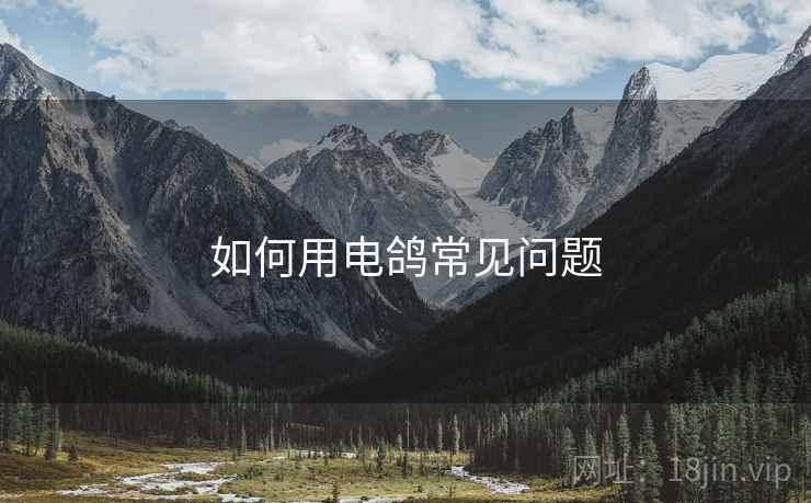如何用电鸽常见问题