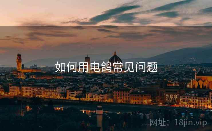 如何用电鸽常见问题