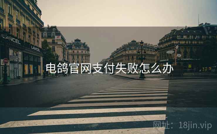 电鸽官网支付失败怎么办