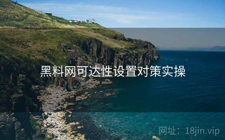 黑料网可达性设置对策实操