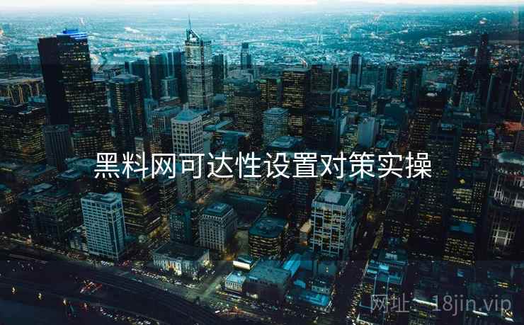黑料网可达性设置对策实操