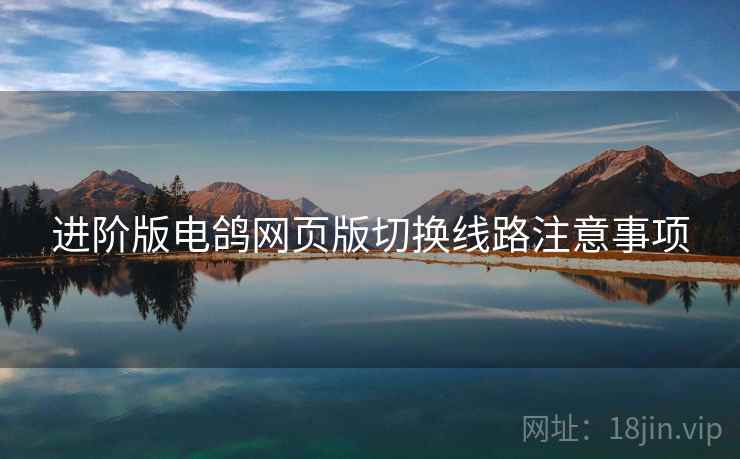进阶版电鸽网页版切换线路注意事项