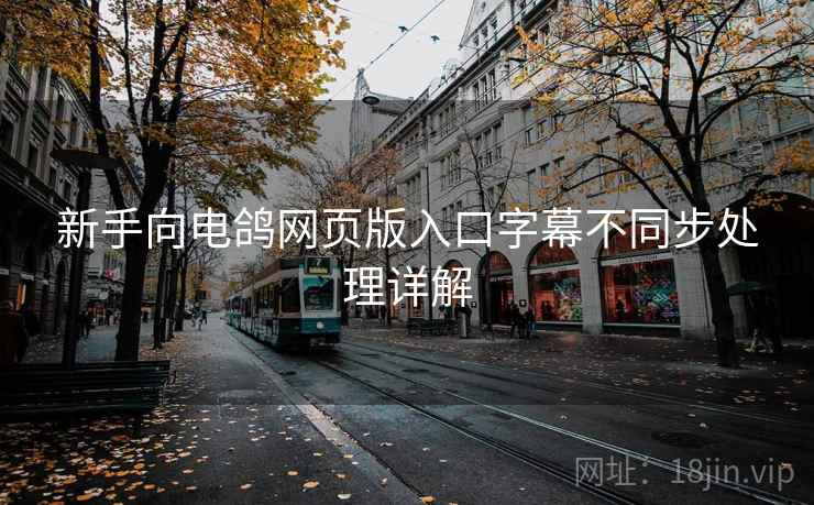 新手向电鸽网页版入口字幕不同步处理详解