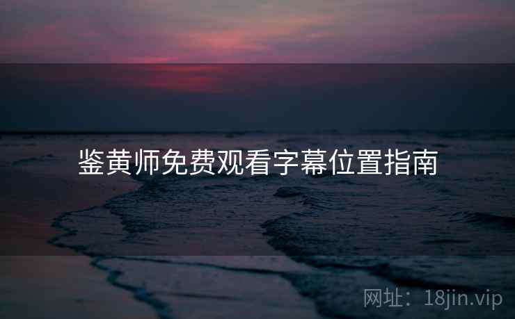 鉴黄师免费观看字幕位置指南