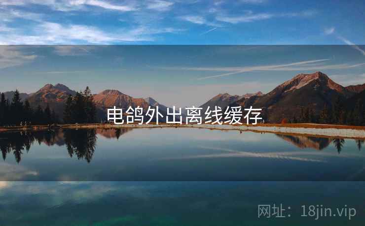 电鸽外出离线缓存