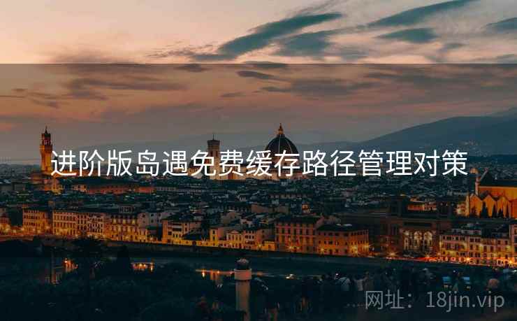 进阶版岛遇免费缓存路径管理对策