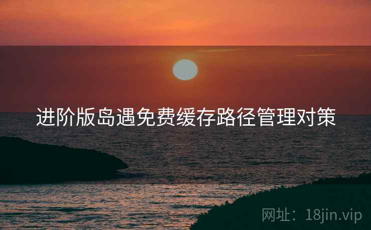 进阶版岛遇免费缓存路径管理对策