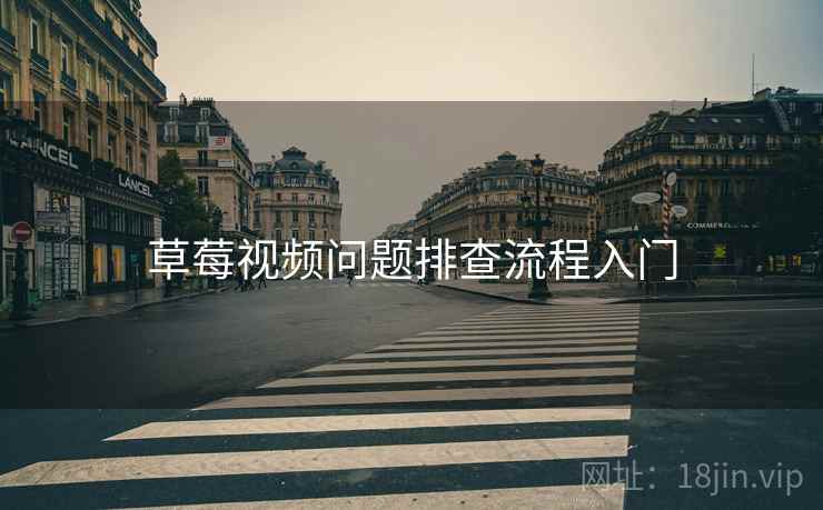 草莓视频问题排查流程入门
