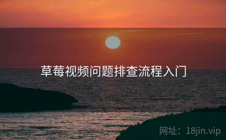 草莓视频问题排查流程入门